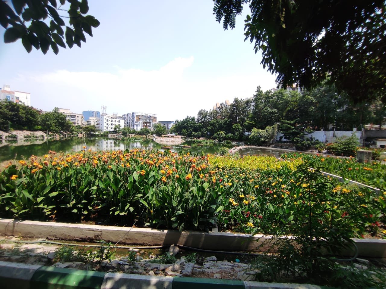 whatsapp image 2025 12 01 at 7.29.37 pm