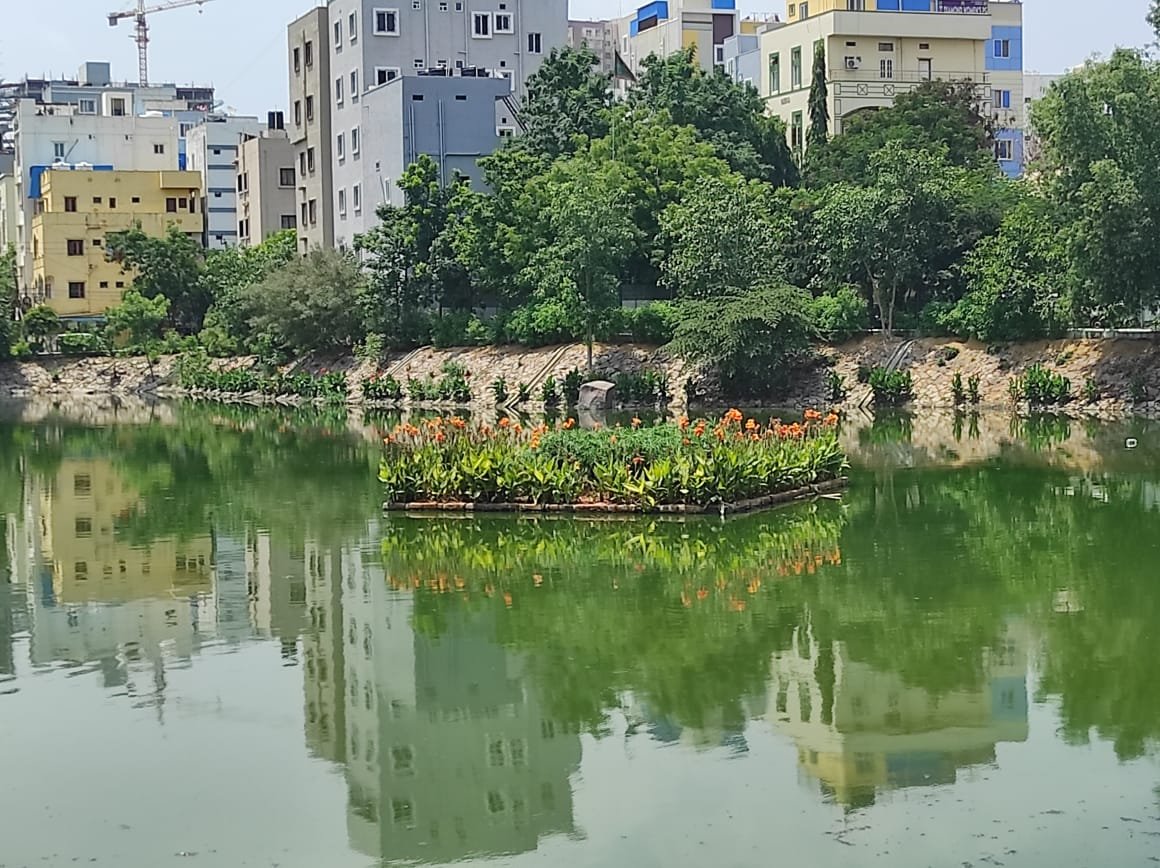 a20eddcd 6f7e 4aaa a636 cbf11d40bf93